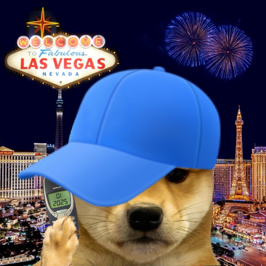 CedGoodman's tweet photo. @bonk_inu $WIF stays on https://t.co/oNUy0Zj4uu