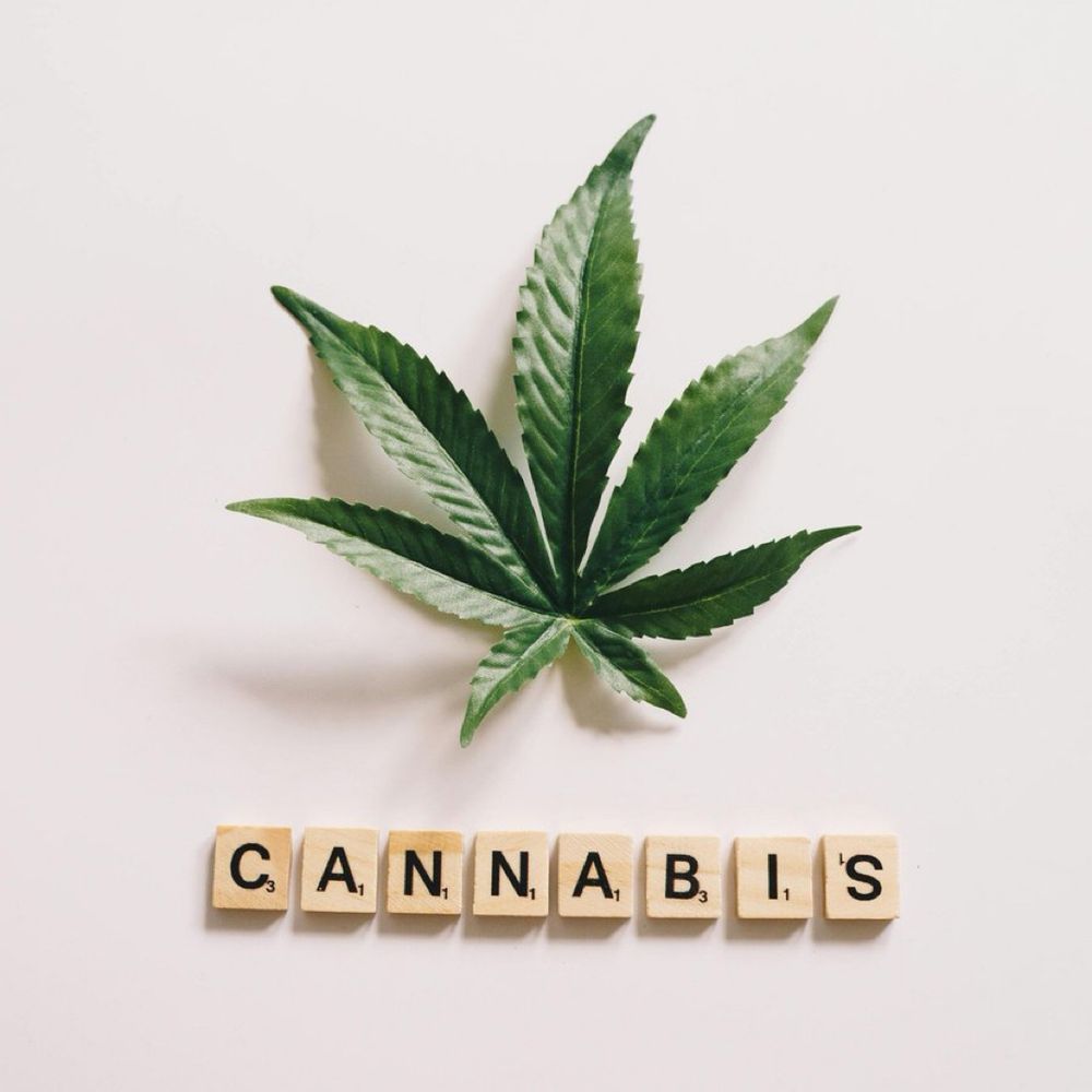 DEADLINE EXTENDED to March 15, 2025!

Submit to our special issue, "The harms and benefits of cannabis and cannabinoids in women and men and effects on their progeny." Learn more: buff.ly/4gvz45s  #AddictionSci #DrugSky #PsychSciSky