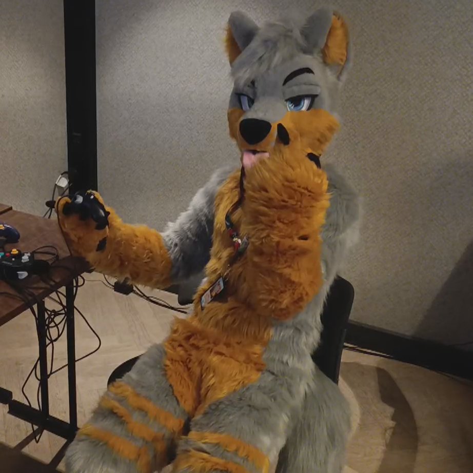 🚀Skout⭐ tweet media