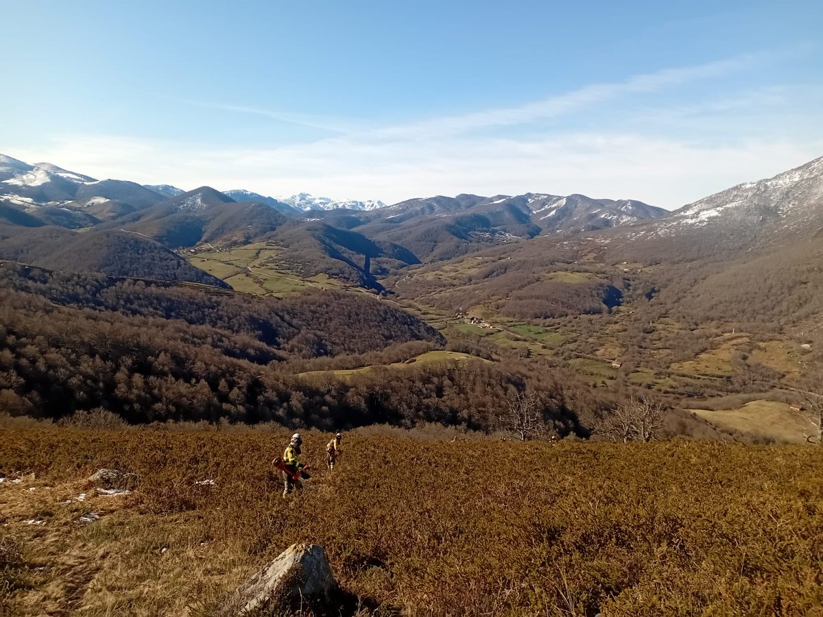 Hasta que llegue nuestro medio aéreo estaremos en #BLP apoyando al #EPRIF Comarca del Pas.
Hoy desbroce perimetral de una parcela para realizar quema prescrita #RxFire en Puente Pumar #Cantabria