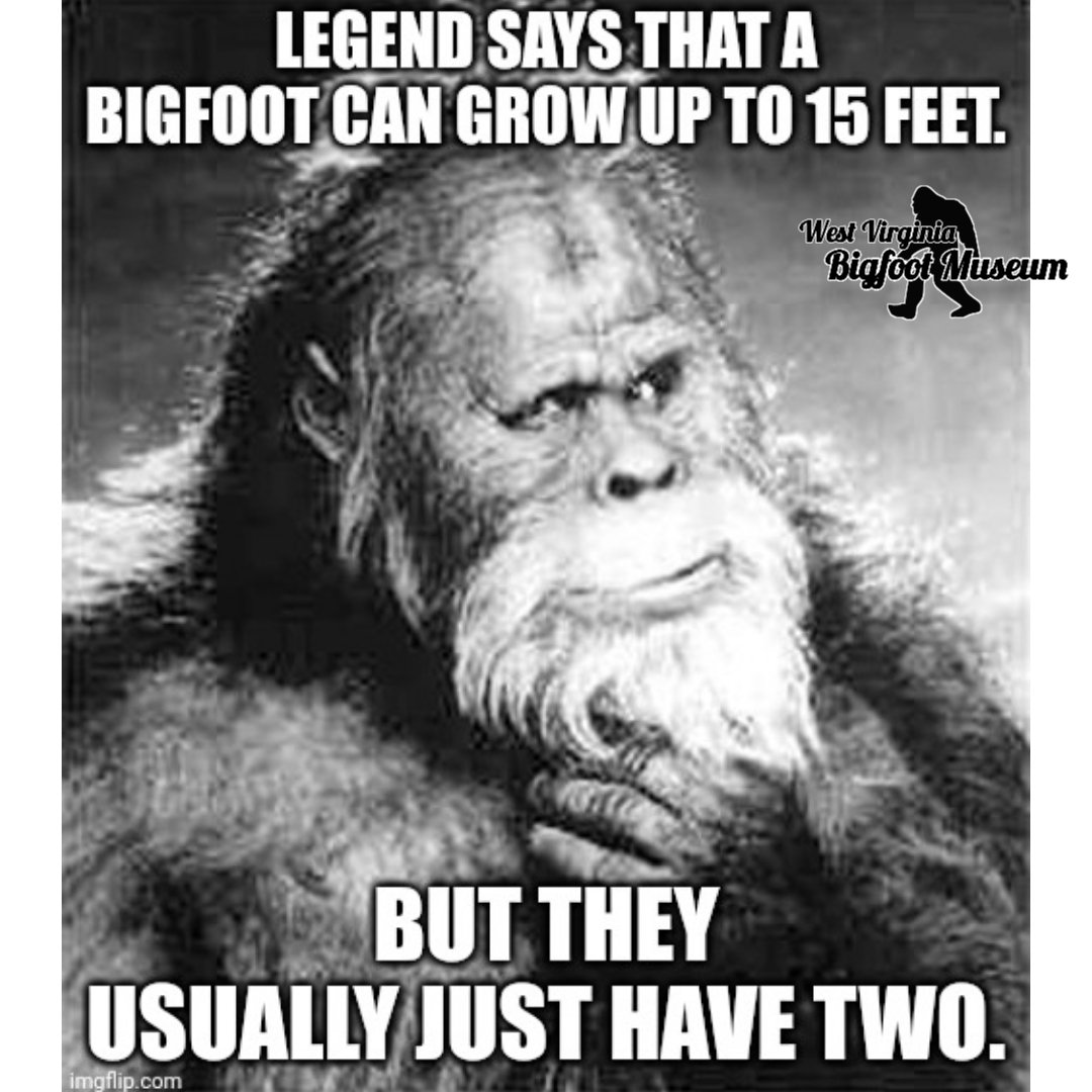 The West Virginia Bigfoot Museum (@wvbigfootmuseum) on Twitter photo 