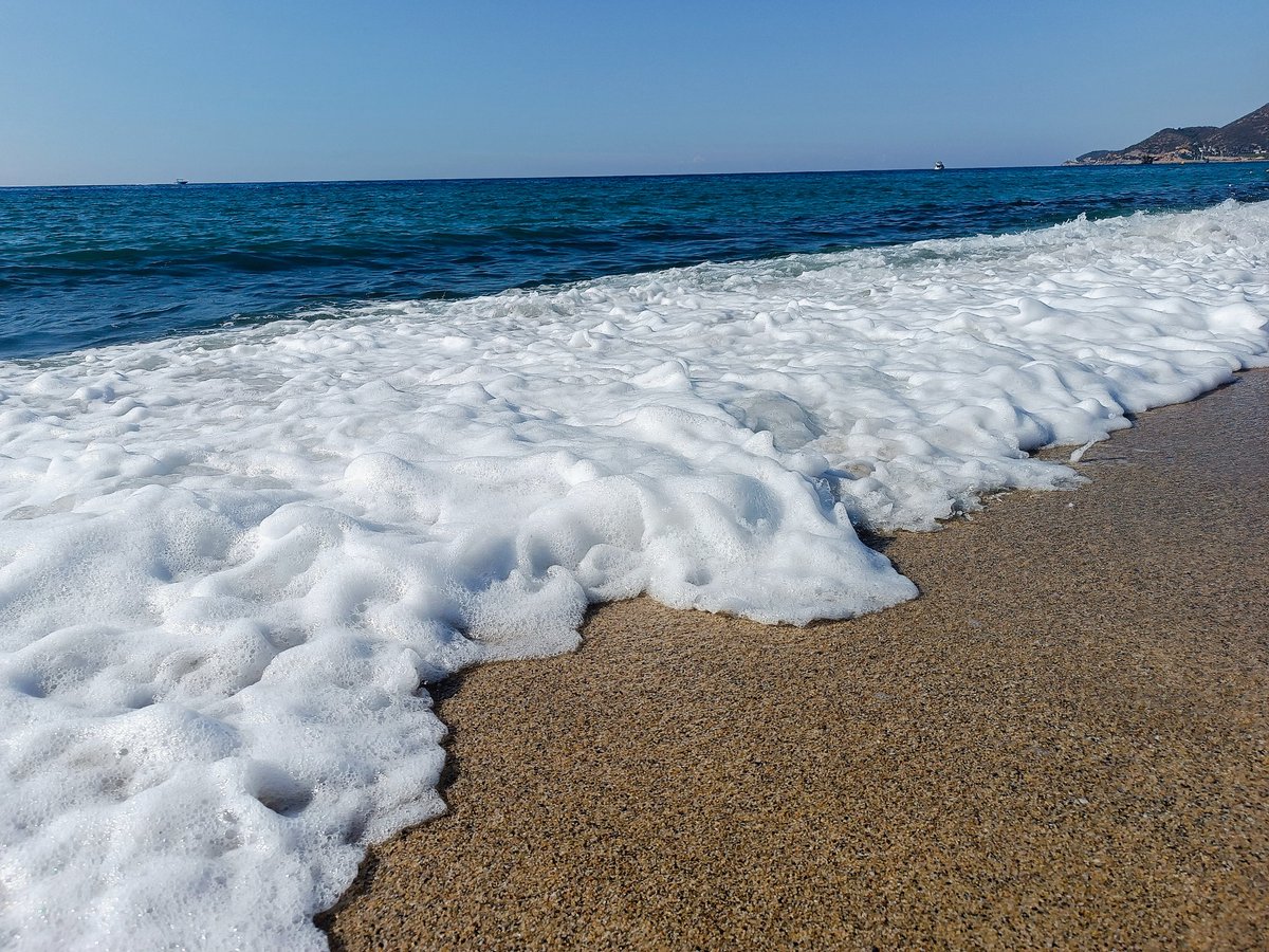 Nata_Darlex🕊️ tweet media