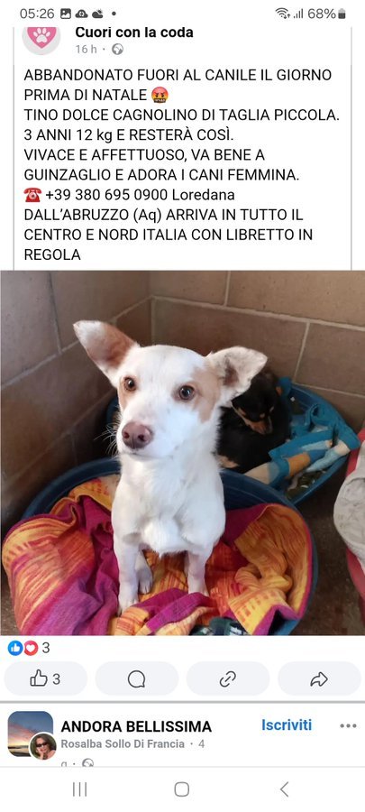 GuerraAchi97365's tweet image. ✨🌟#TINO CERCA CASA🌟✨
‼️‼️🙏🏼🏡🏡🚨🚨❤️🆘🆘🆘