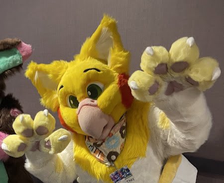 PittSqueaks 🖤🩶🤍💜 (@mareebirb) on Twitter photo I haven’t posted on my furry socials in so long I promise I’m alive 😂 I’ve been on my bird socials, <a href="/fosterthebeeple/">foster the beeple 🦤🌺</a> here and elsewhere! I haven’t posted on my furry socials in so long I promise I’m alive 😂 I’ve been on my bird socials, <a href="/fosterthebeeple/">foster the beeple 🦤🌺</a> here and elsewhere!