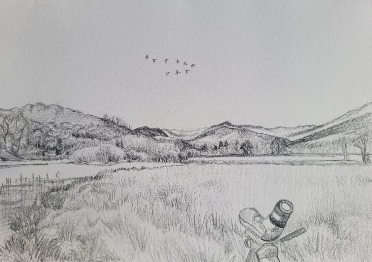 Here is a little sketch of me and my partner's patch where we regularly go birding, looking north. It's a beautiful and unique little area with diverse habitat and a variety of birds. 
Borran's Park, Ambleside.