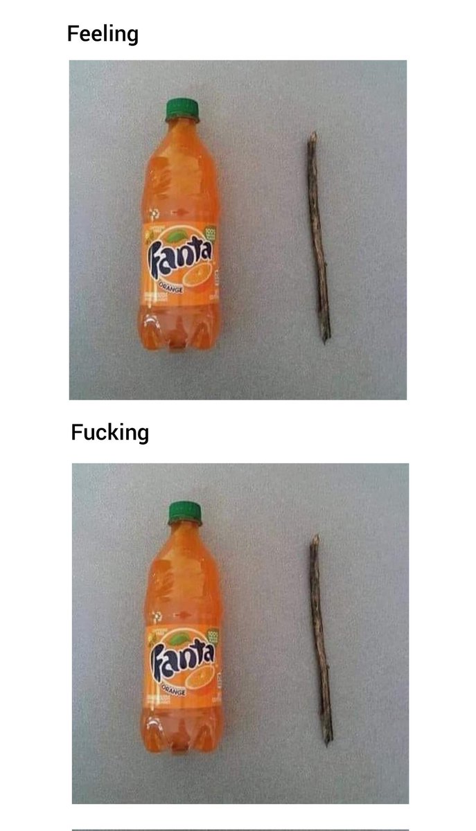 ziggy_RE9 tweet media