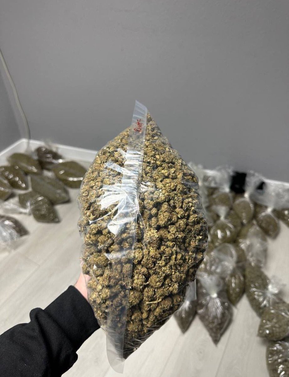 BenSteward70's tweet photo. One of the Best Cannabis and Pills Vendor, you can find in the whole of United States and International.
Clients are always satisfied with our services worldwide cause they get to receive their packages safe and secured at their doorstep.
We do also supply retailers whole sales… https://t.co/AyZPwdJIah