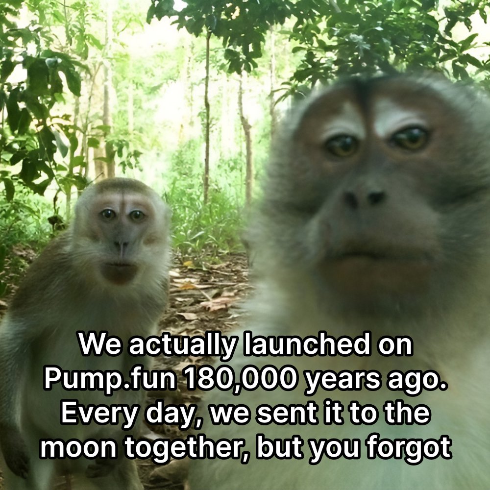 MonkeofSol's tweet photo. $MONKE is probably the next Apple Dog. Look at how fast it’s gaining momentum. This one is moving.
https://t.co/eEGn2HMsPz https://t.co/i1Nyqe4MUo