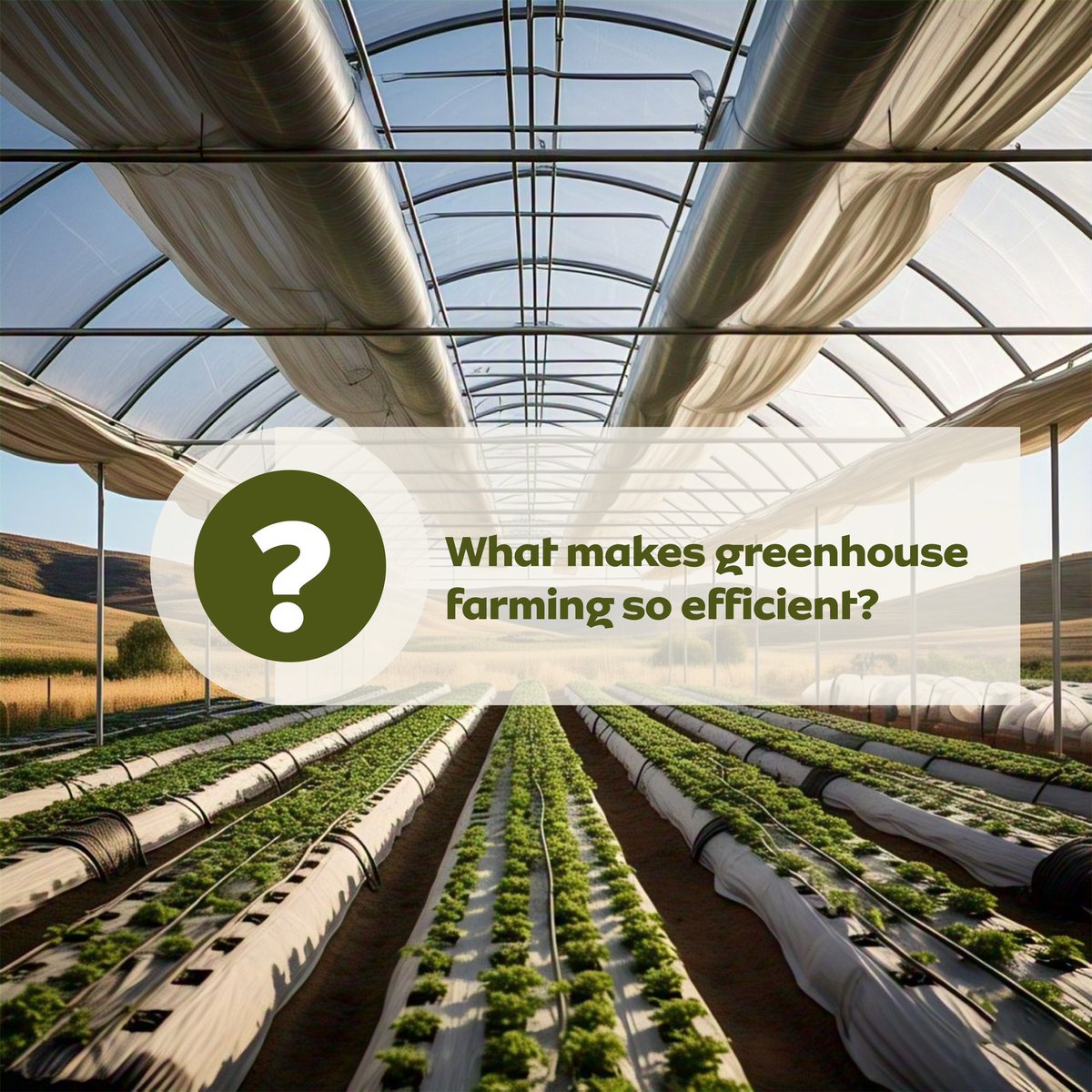 Defarmercist tweet media