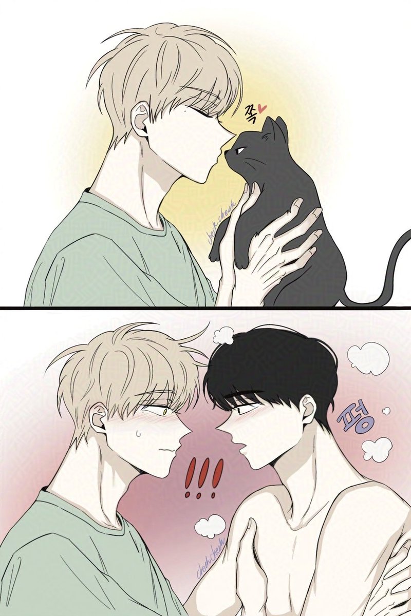 check0730's tweet photo. 고양이나라의 왕자님🐈‍⬛
체크메이트 키스😚💕 https://t.co/Xbffdm3Vh3