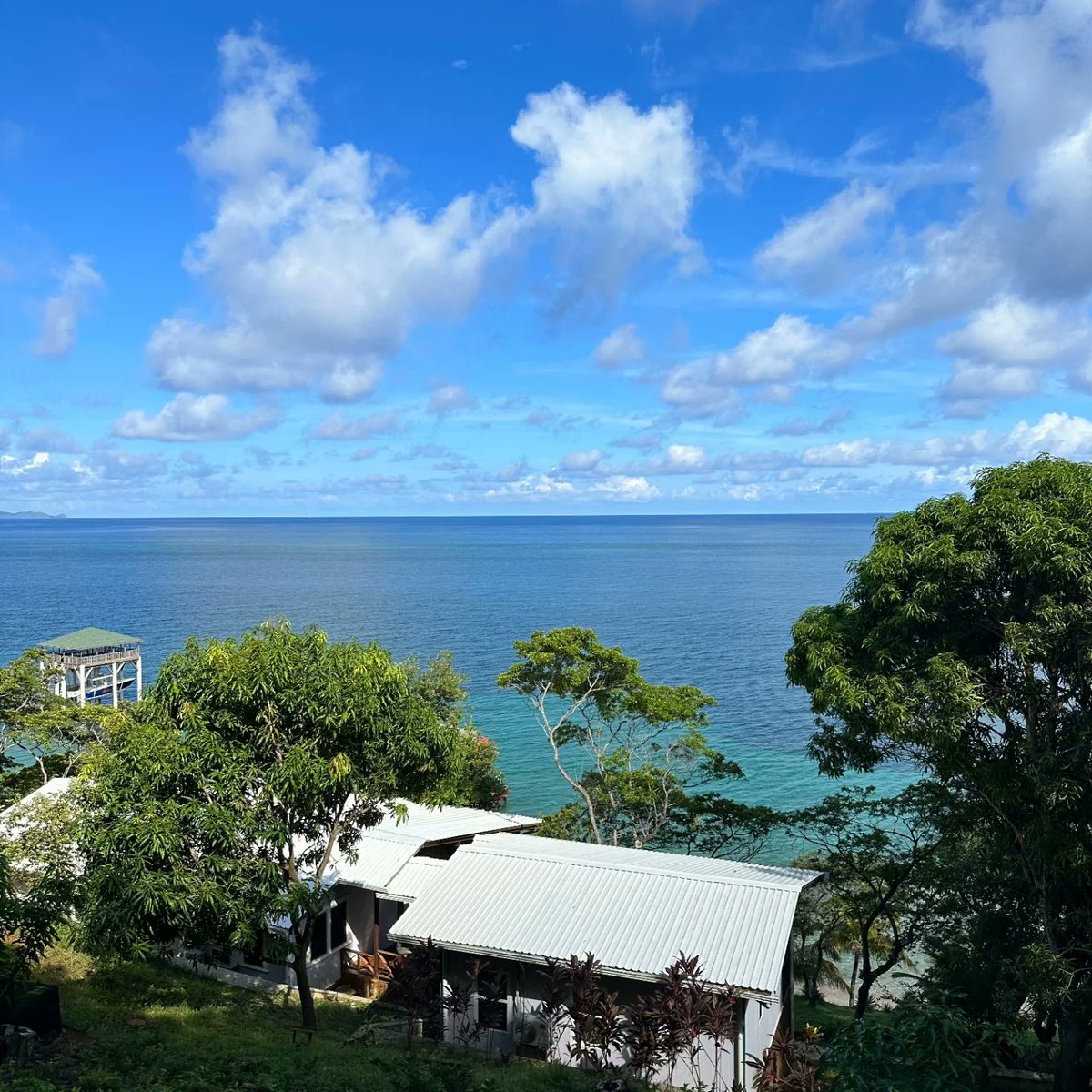 onroatan's tweet photo. Whether you envision a stunning beachfront villa, a serene hillside retreat, or  a sleek modern condo,, Roatan has something for everyone—make your Caribbean dream a reality!

Get in touch—I'm your local real estate expert!
jorge@roatansir.com or https://t.co/iqICoXISmP https://t.co/BV9aUWay11