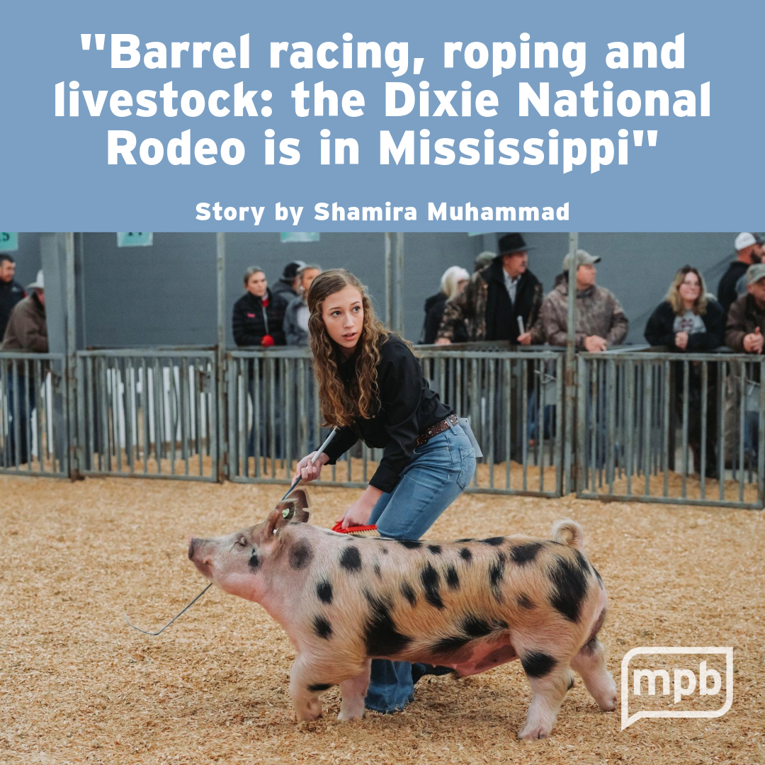 MPB News tweet media