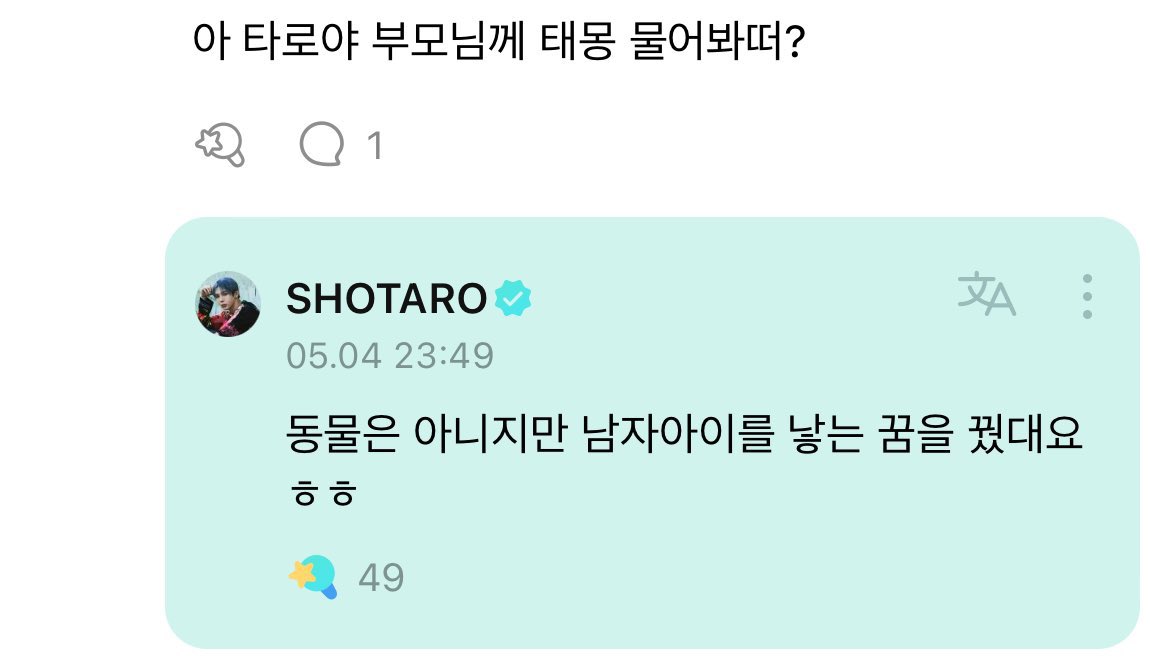타로 태몽도 흥미로워