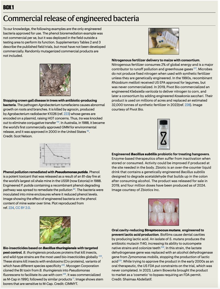 NikoMcCarty's tweet photo. New review on engineered microbes for environmental release. 

Includes examples where this has already been done, and explains all the regulatory hurdles involved. https://t.co/ZMENHiTm8V