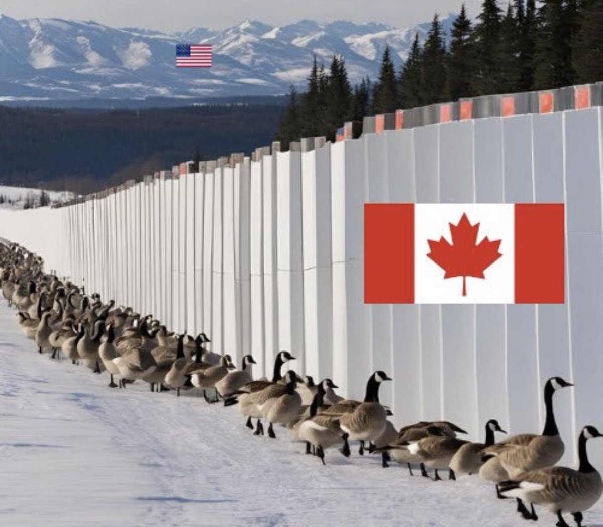 Our new border patrol 🇨🇦🪿