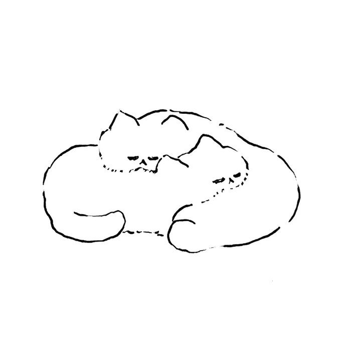 ねこ 