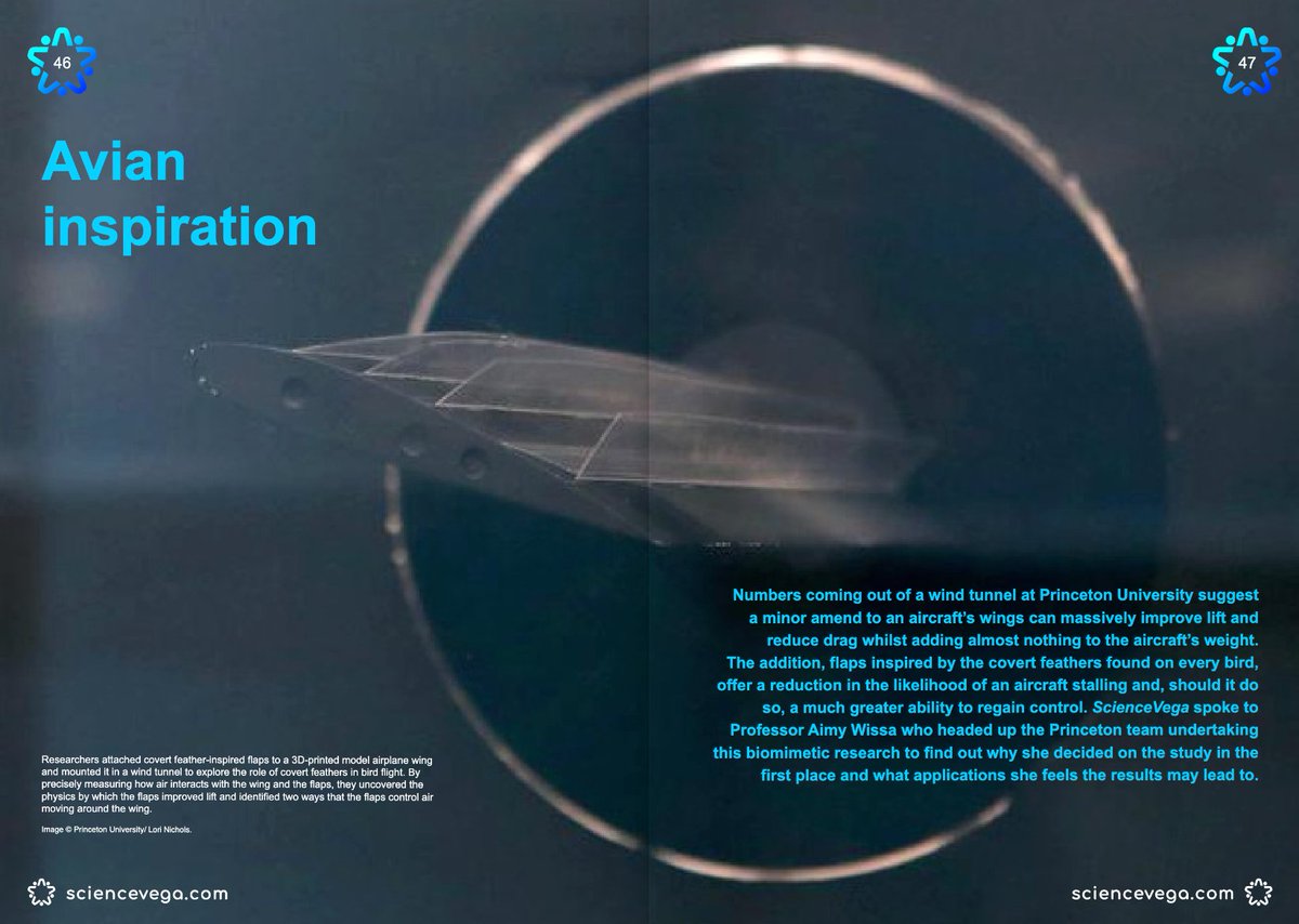 Great to see the work of <a href="/awissa_bid/">Aimy Wissa</a> and her team featured in Science Vega. They found that adding rows of flaps to an aircraft’s wings improves flight performance and helps prevent stalling, which jeopardizes a plane’s ability to stay aloft. sciencevega.com/publication/