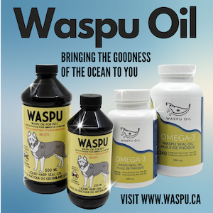 Let's buy local! 🇨🇦 
WASPU Seal Oil   Web Site:  waspu.ca
@mikmaqcf #sustainable #heritage @CityofStJohns #buylocal #micmaq #omega3 #sealoil