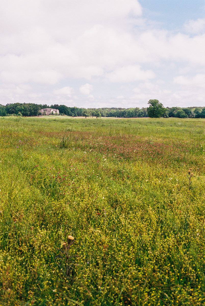 Spring still has a ways to go but never fear! An amazing February offer is here: $340 per foursome at the Farm! We would love to see you 🤠 🐮 #Golf #Home #Experience