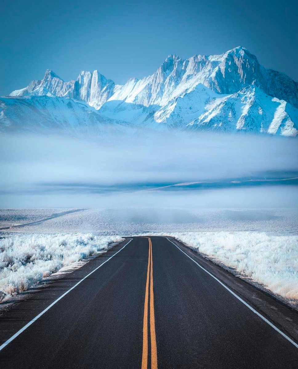 earthcurated's tweet photo. Frosty drives in California ❄️ https://t.co/AZcC0NKQ3T