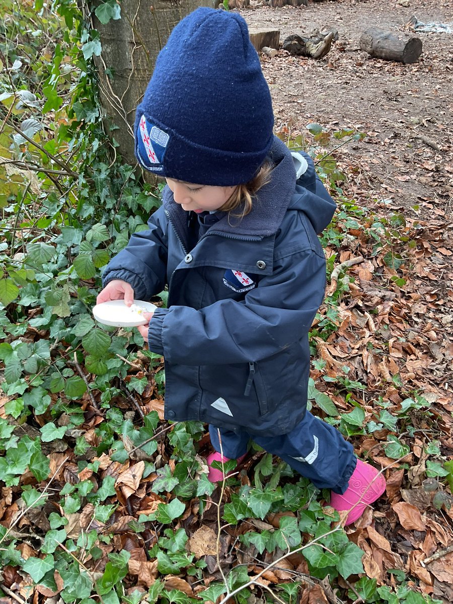 ⭐️ Newsflash ⭐️ Budding palaeontologists find dinosaur fossils in the Monkton woods ! #MonktonKindergarten 🦕 🦖