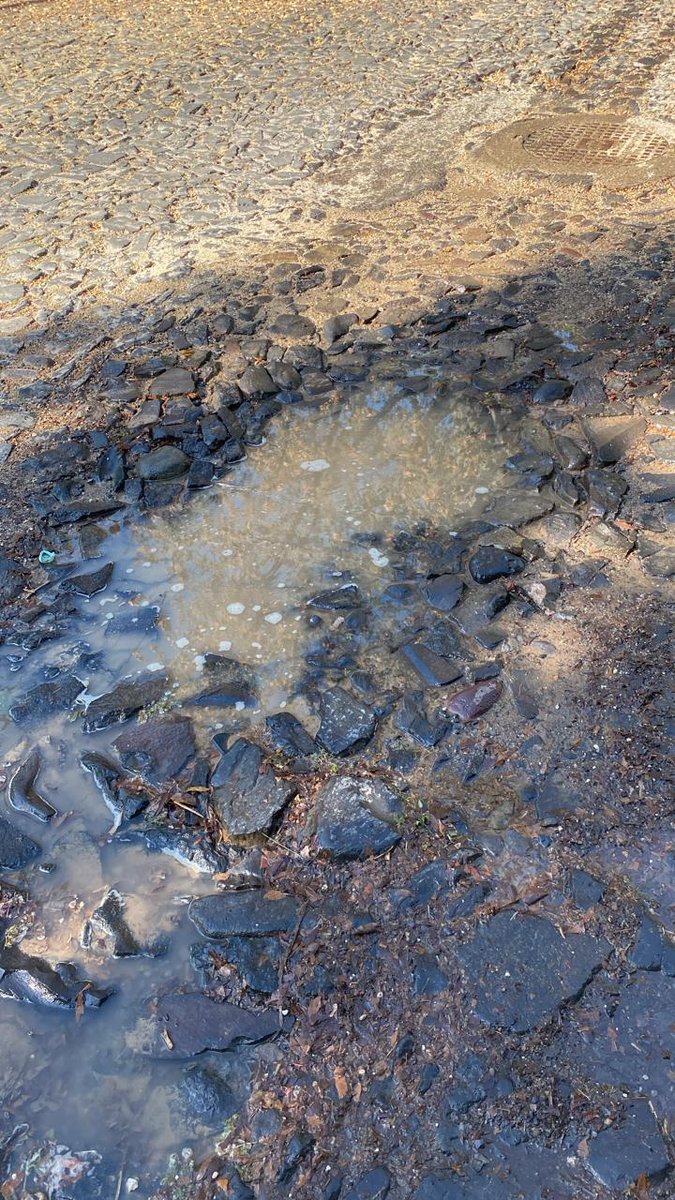 BraniffRic22667's tweet photo. @siapagdl fuga de agua limpia frente al numero Av.B # 656 entre calle 5 y calle 6, col. Ecología colonia Seattle,  Zapopan favor de atender. https://t.co/2SGzzj4SHR