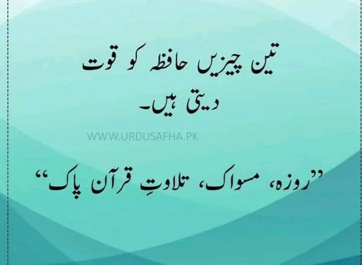 MohsinJavid Khan tweet media