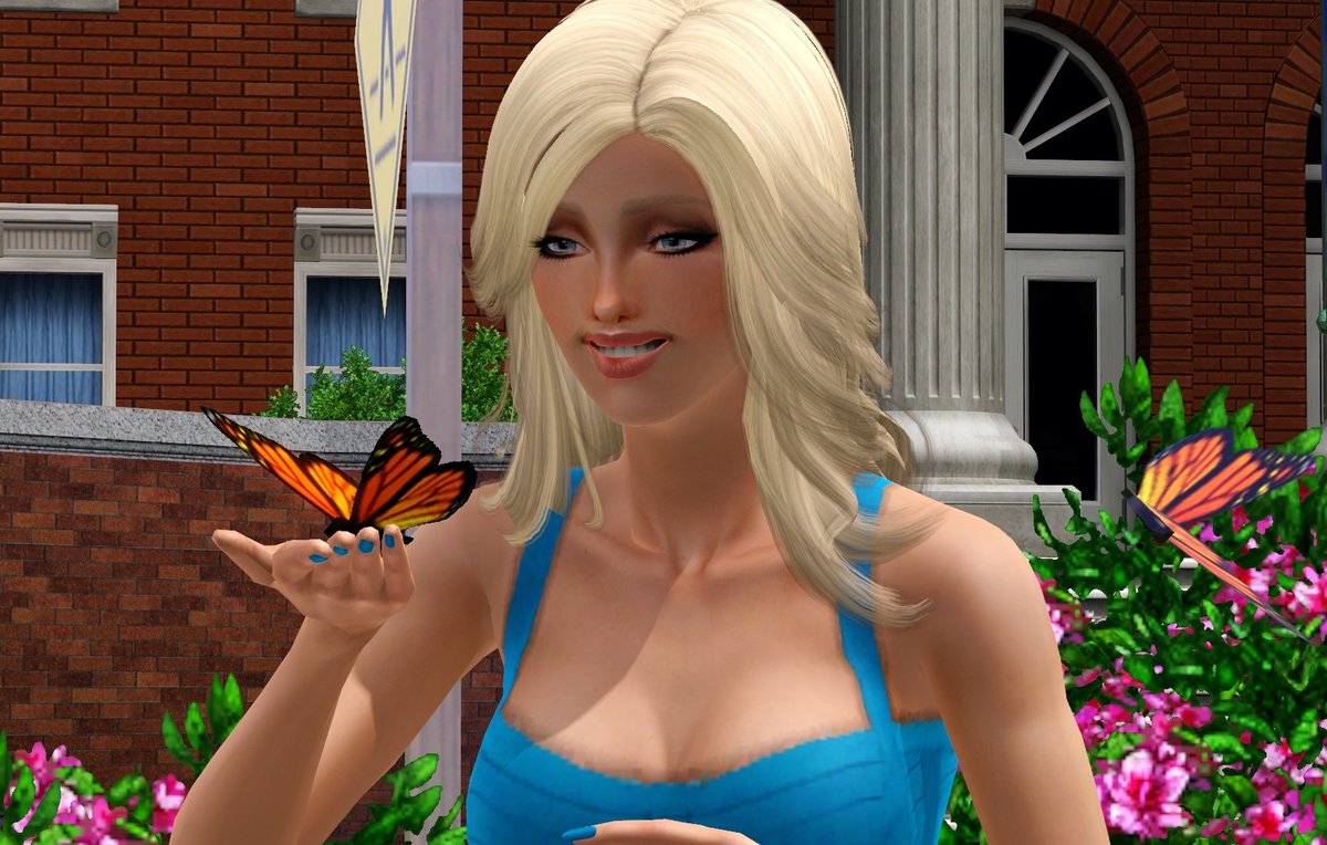 Simself tweet media