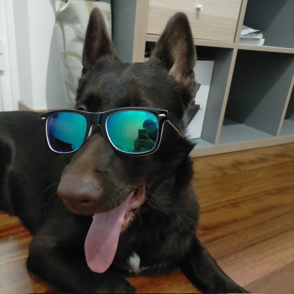 #NewProfilePic