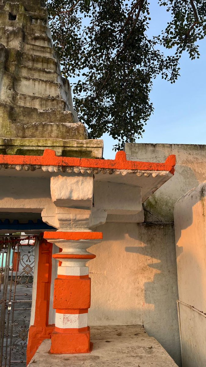 Vanaja Devi tweet media