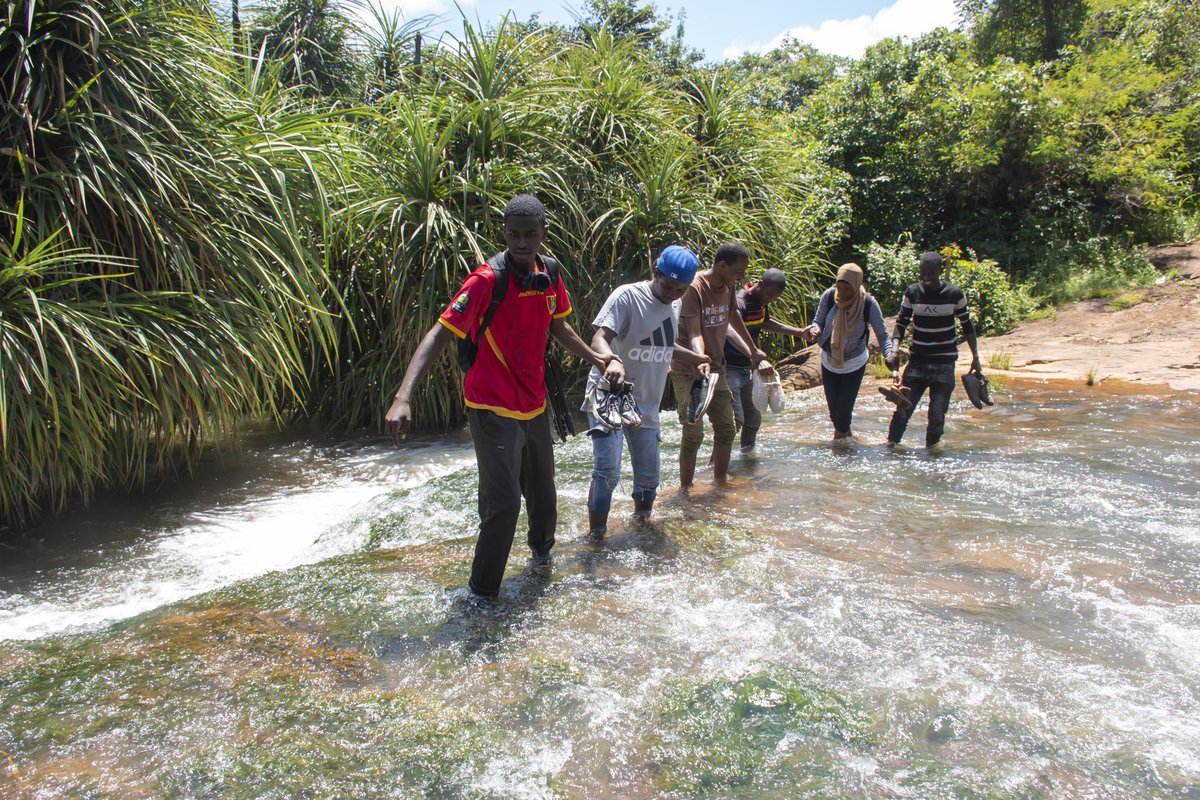 Nous avons longtemps été calmes ces derniers mois sur nos différentes plateformes.

On était dans une phase de réorganisation et de repositionnement, nous sommes enfin prêts pour affronter l'année 2025 avec beaucoup plus d'énergie pour la promotion de nos sites touristiques.