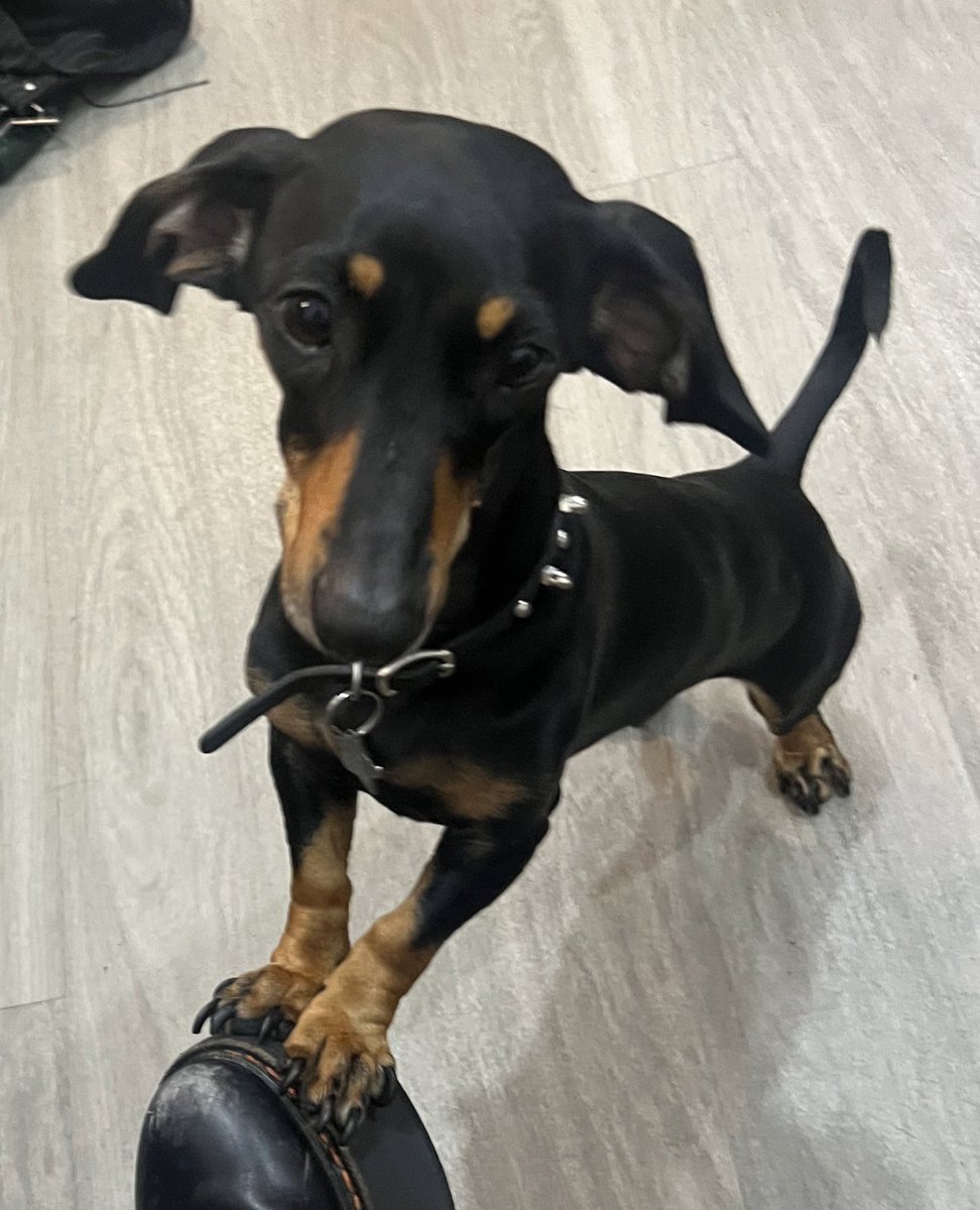 Madeline Pendleton tweet media