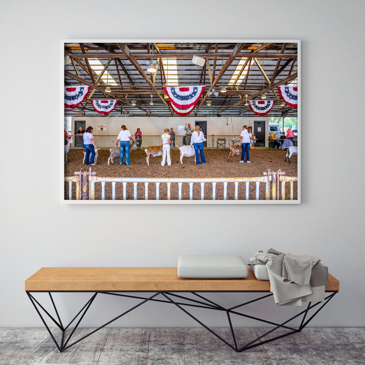 matmarcinkowski's tweet photo. State Fair Goat Show. Prints available. https://t.co/7fDFzjWOcq Contact for info. #artforsale #interiordesign #homedecor #stlinteriordesign #stlinteriordesigner #stlinteriordesign #stlinteriors #stlartist  #statefair #livestockshow #photographyforsale #farmlife https://t.co/YIbjNO894g