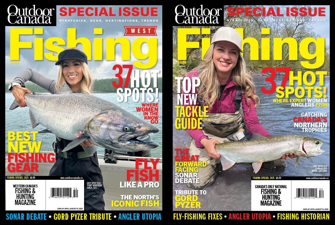 Patrick Walsh tweet media