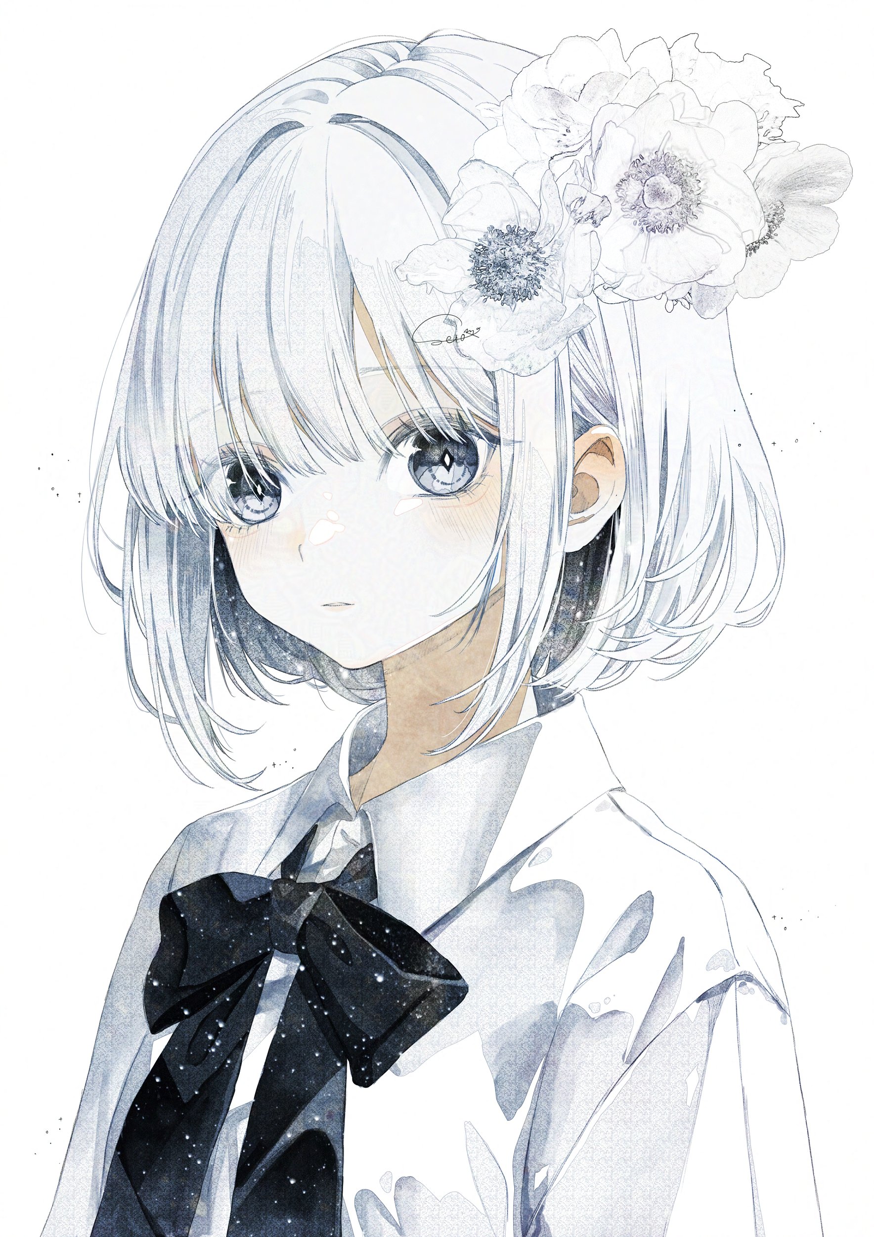 白星🌌 (@shiroboshi2829) / X