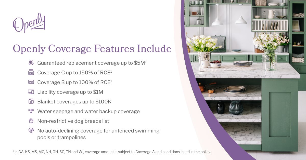 Our individualized home insurance policies provide unique coverage options for all - primary, secondary or rent-to-others. Discover unique coverage inclusions to fit your client's needs. 🏠 🛡️ 

Find out what Openly can do for you:

openly.com/coverage-highl…