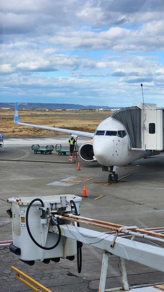 ARGENTINA ✈ SPOTTERS tweet media