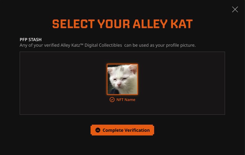 It's crazy!!! 

I feel like I'm finally achieving everything I've ever wanted. 

I'm building one of the craziest gaming platforms - quite literally a digital theme park for gamers. 

On top of that, I'm developing Alley Katz (AK), an IP that embodies creativity, style, and