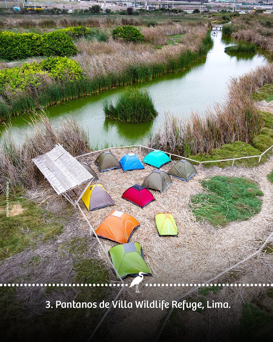 Visit Peru tweet media