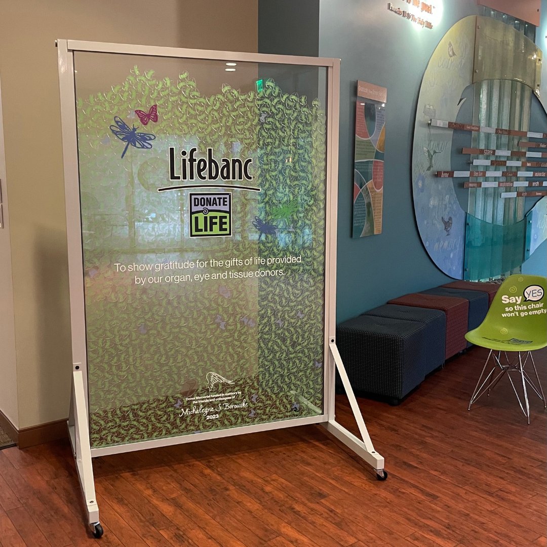 We honor every donor and celebrate the incredible decision to say YES! 👏 Our Donor Memorial remembers the individuals whose selfless gifts have brought hope, healing and new life to grateful recipients of all ages over the past year. 💙💚

#yessaveslives #organdonation