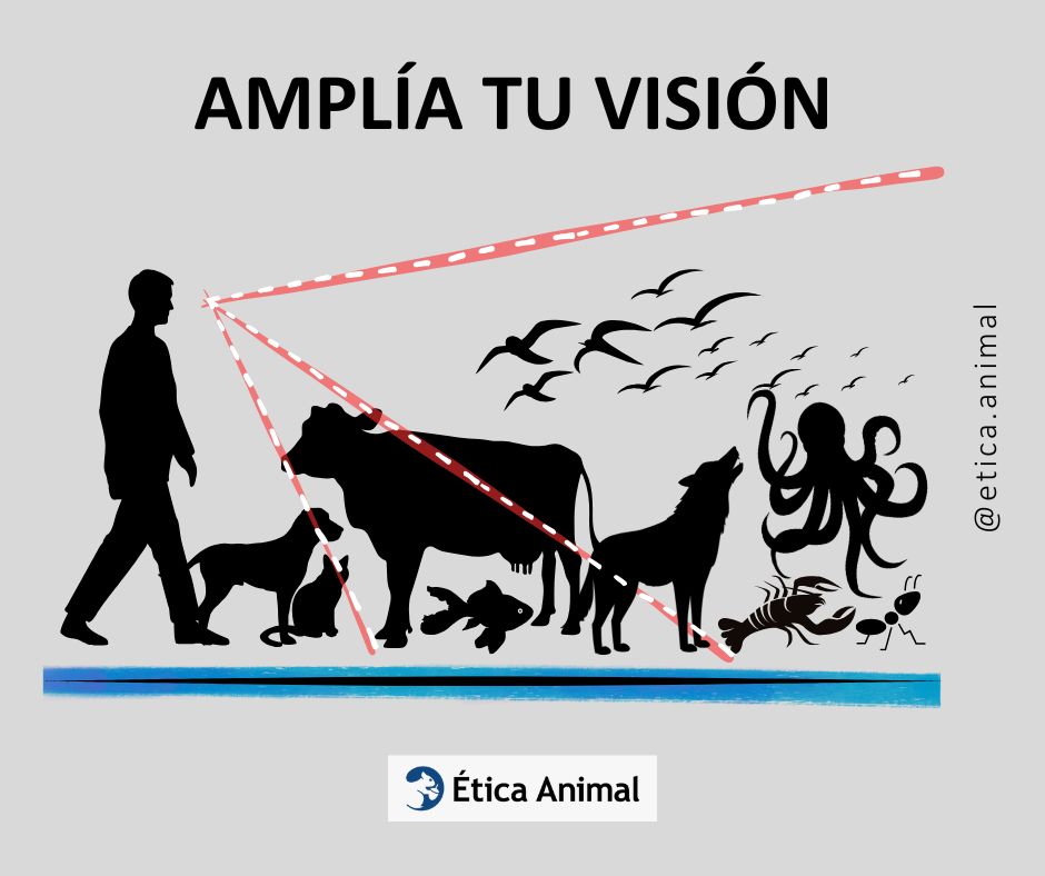 ¿Qué animales merecen nuestro respeto y por qué?

#antiespecismo #eticaanimal #defensaanimal #especismo #sintiencia #animalistas #antiespecistas #derechosanimales #ayudaralosanimalessalvajes
