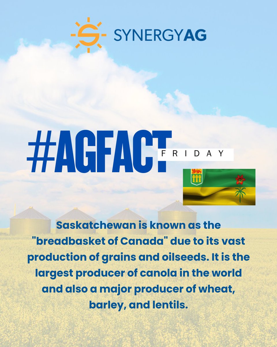 Saskatchewan is known as the "breadbasket of Canada".  Nearly 40% of Canada's total agricultural exports come from this province, making it a global leader in agricultural production. With its rich soil and diverse climates🌾🚜