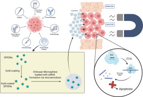 Enhanced siRNA Delivery with Novel Smart Chitosan-Based Formulations dlvr.it/THn1Yn