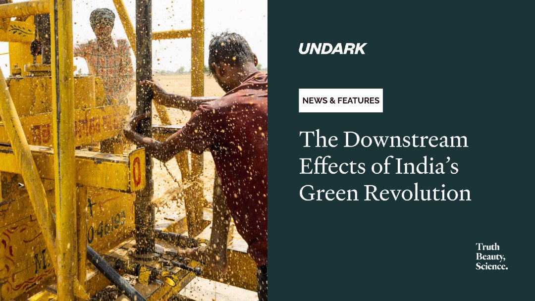 🧵India extracts more groundwater than any other country—more than the U.S. and China combined. In 2024 alone, it drew nearly 65 trillion gallons from its aquifers. A major driver? Agriculture, especially in Punjab. 

🔗: undark.org/2025/02/03/dow…