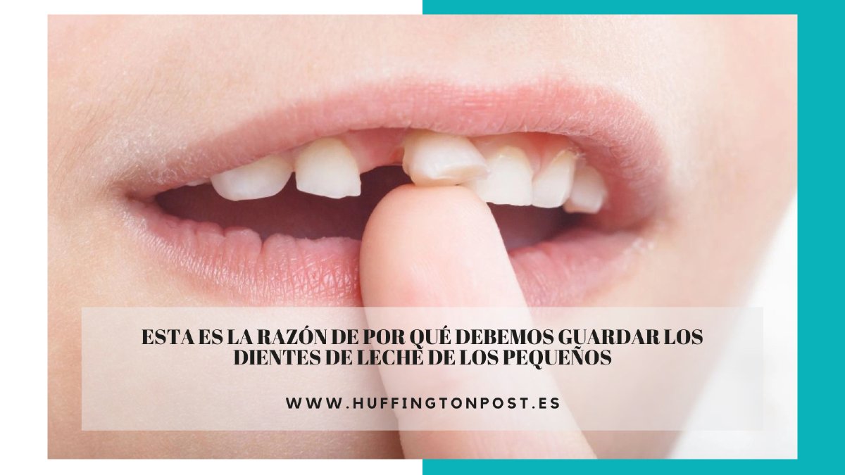 🦷 ¿Sabías que los #dientesdeleche contienen valiosas #celulasmadre❓

💡 Un diente de leche contiene células que pueden transformarse y salvarnos la vida en caso de enfermedad  👇

noticiastrabajo.huffingtonpost.es/sociedad/esta-…