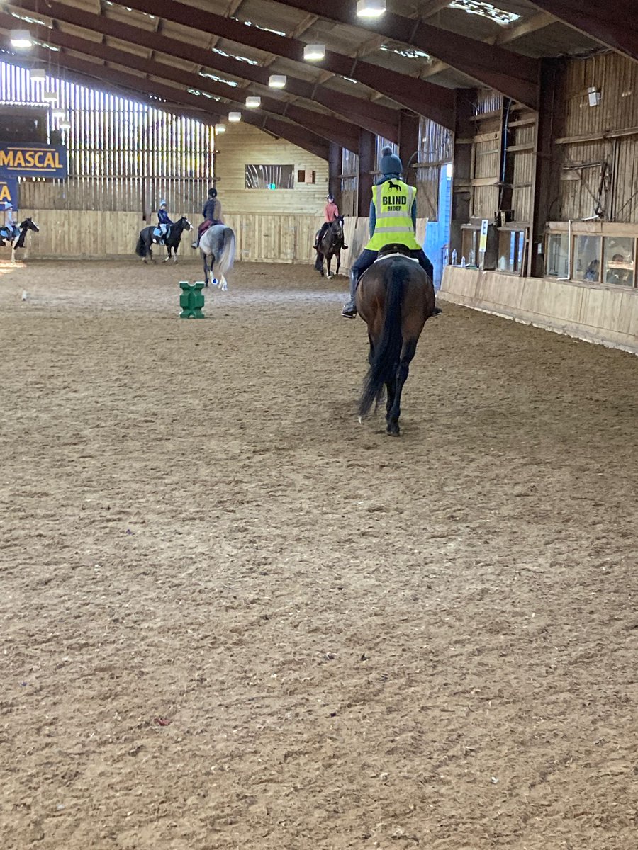 Charly (@blindseyeview) on Twitter photo I can rode lily in walk and trot straight lines after her injury in November I can rode lily in walk and trot straight lines after her injury in November
