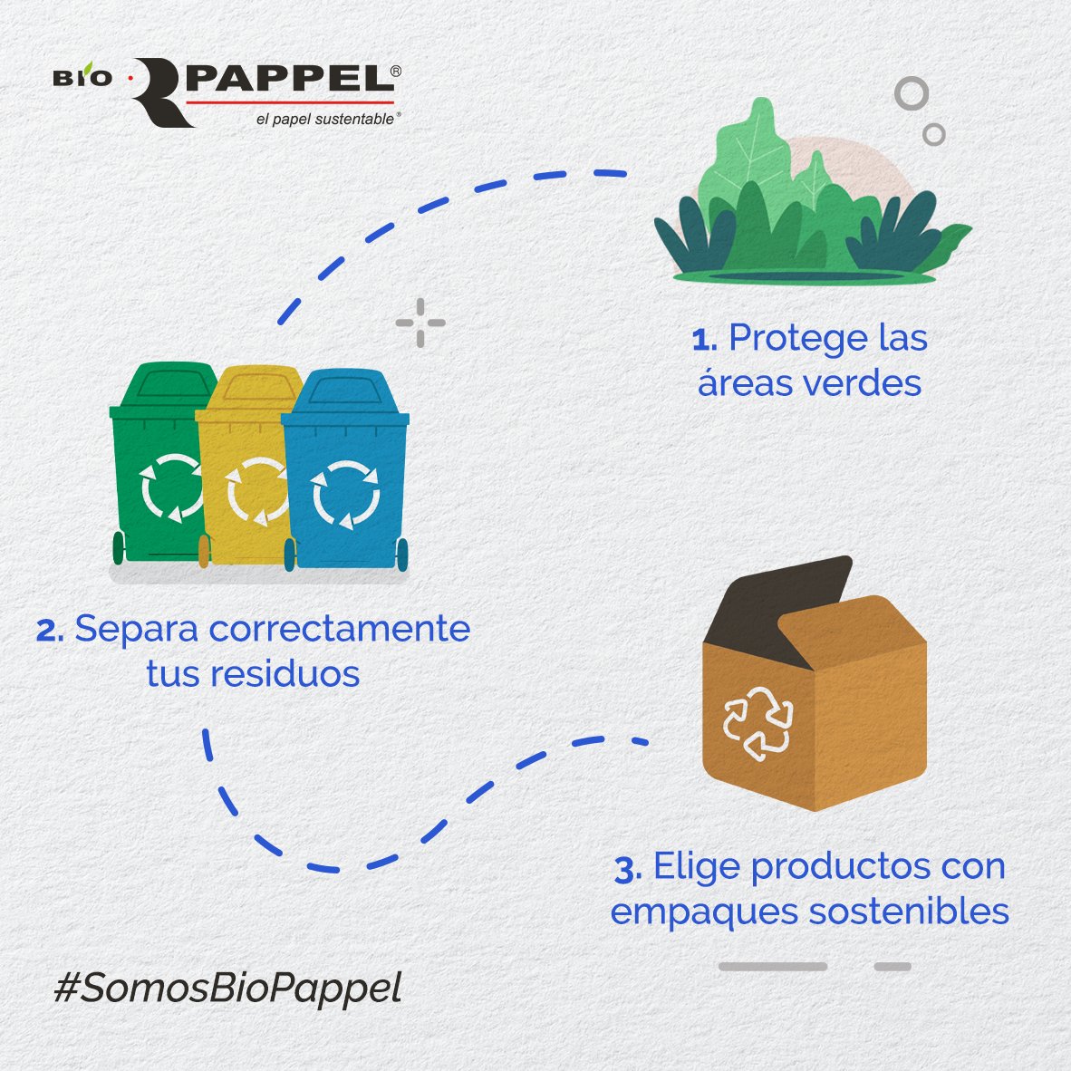 Bio Pappel tweet media