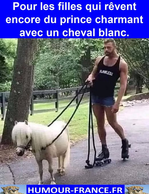 text alternatif