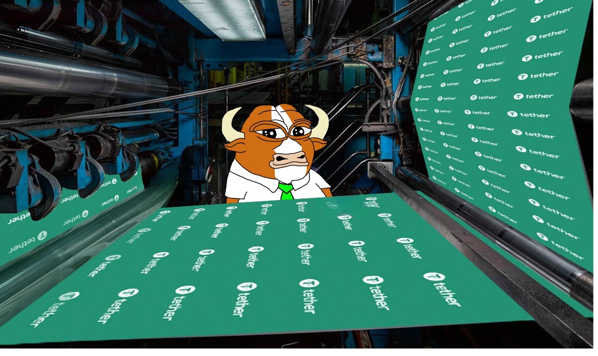 Crypto Vikings tweet media