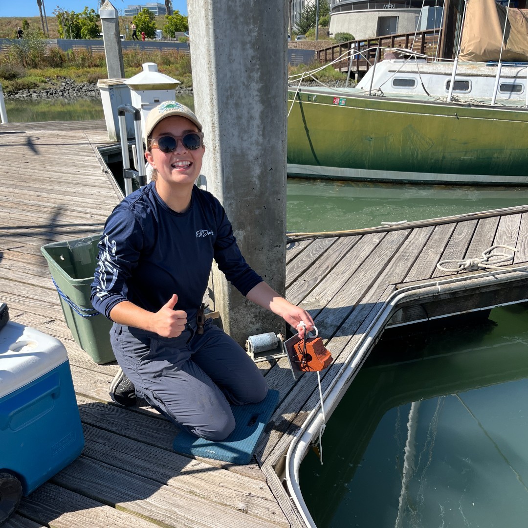 SERC Marine Invasions Research Lab tweet media